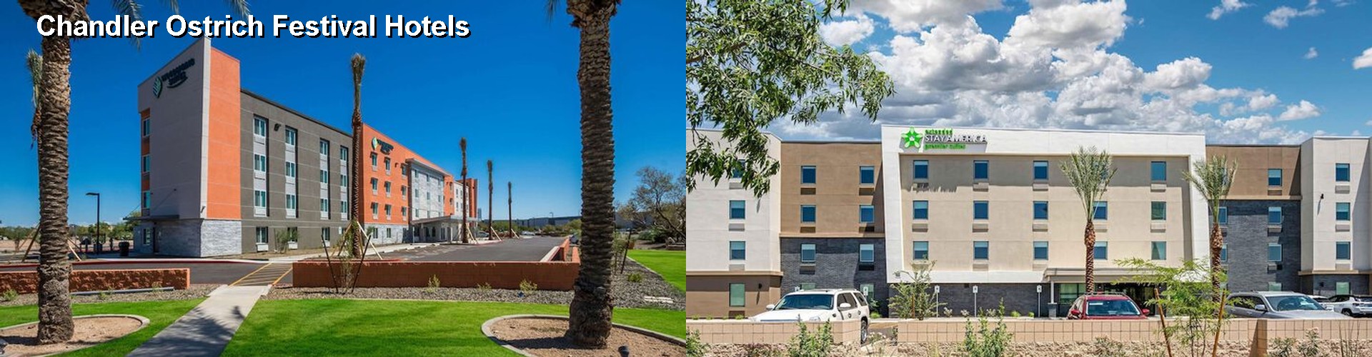 3 Best Hotels near Chandler Ostrich Festival