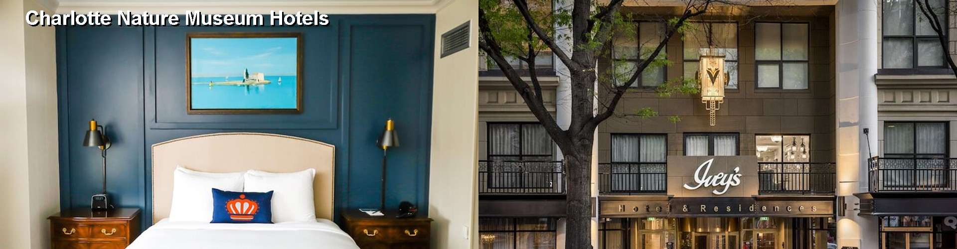 5 Best Hotels near Charlotte Nature Museum