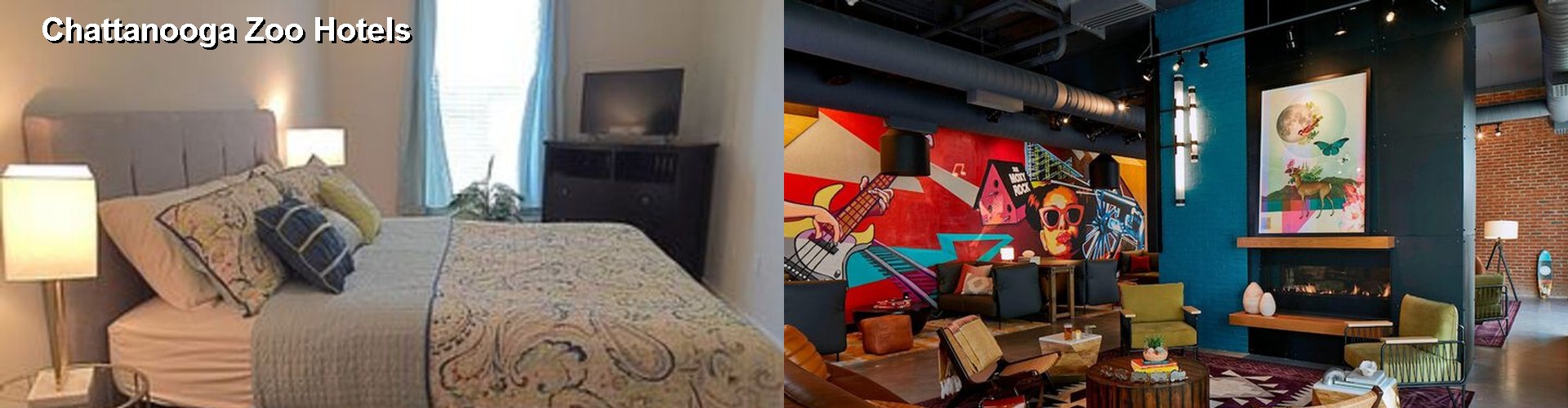 5 Best Hotels near Chattanooga Zoo