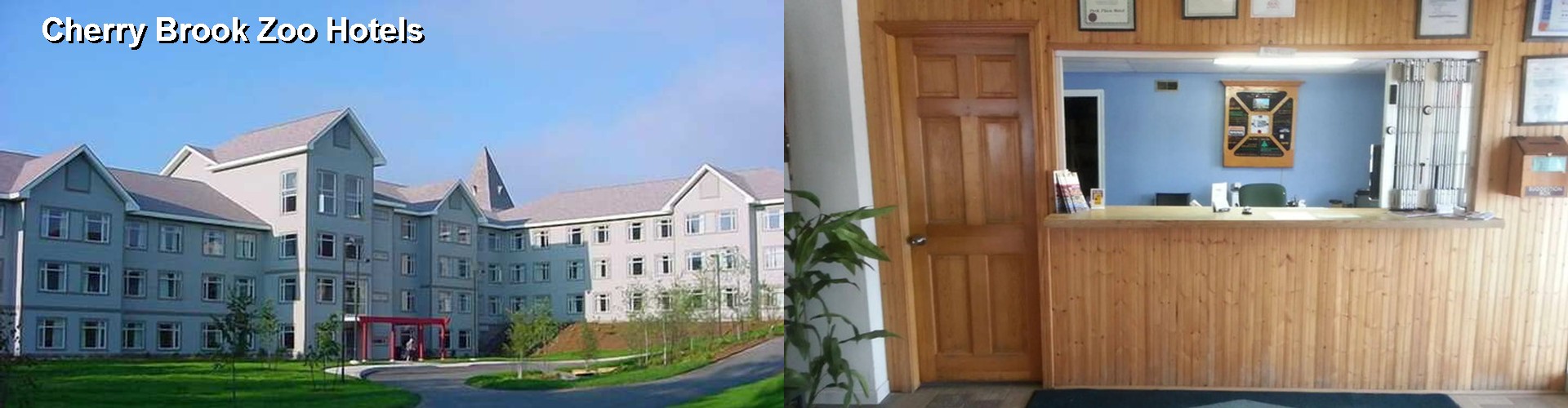 5 Best Hotels near Cherry Brook Zoo