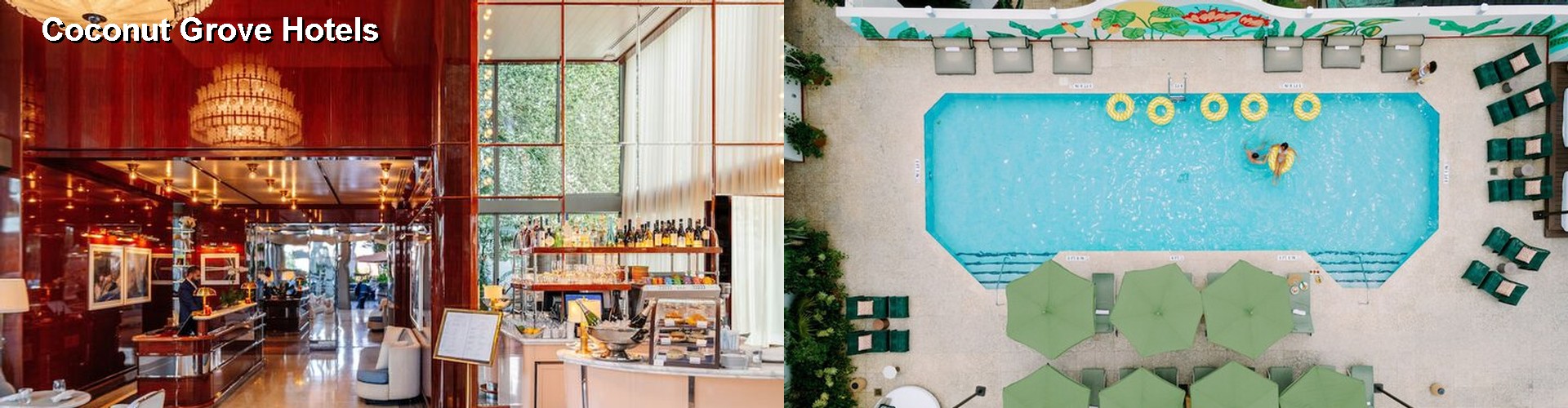 5 Best Hotels near Coconut Grove