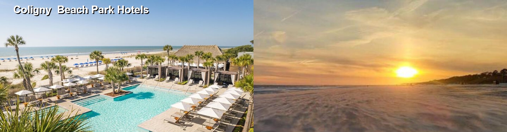 5 Best Hotels near Coligny Beach Park