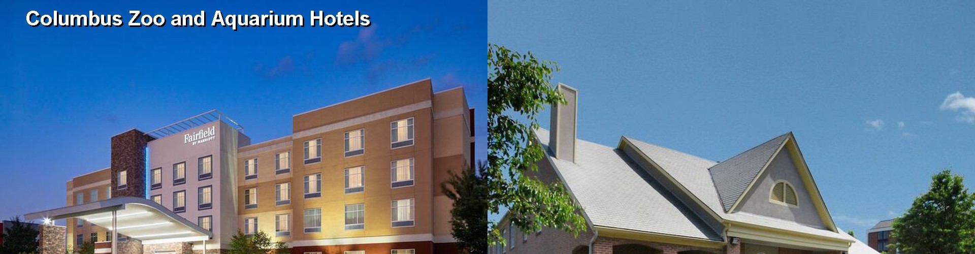 5 Best Hotels near Columbus Zoo and Aquarium