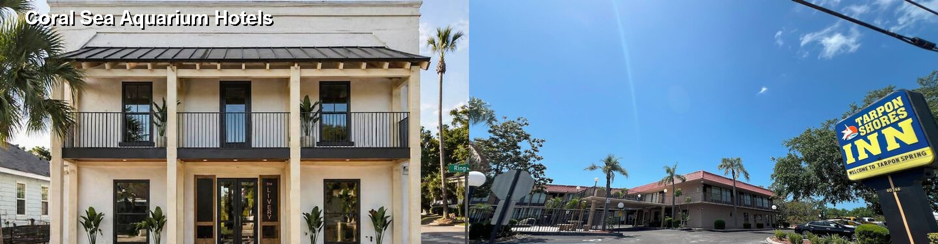4 Best Hotels near Coral Sea Aquarium