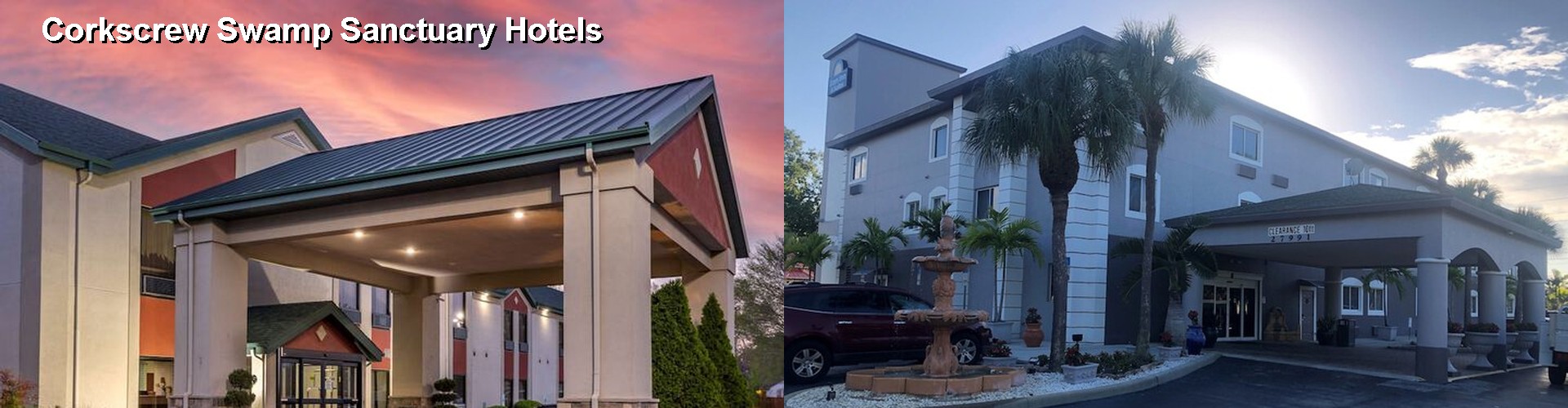 5 Best Hotels near Corkscrew Swamp Sanctuary