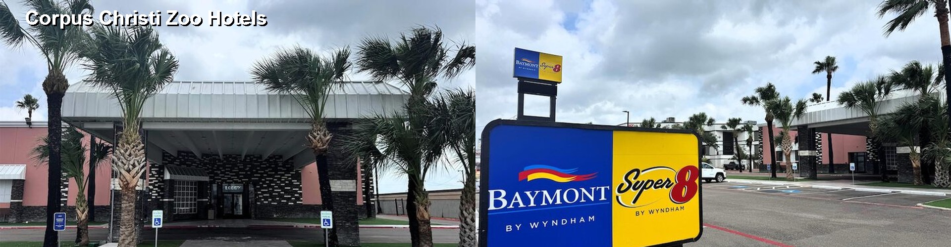 4 Best Hotels near Corpus Christi Zoo