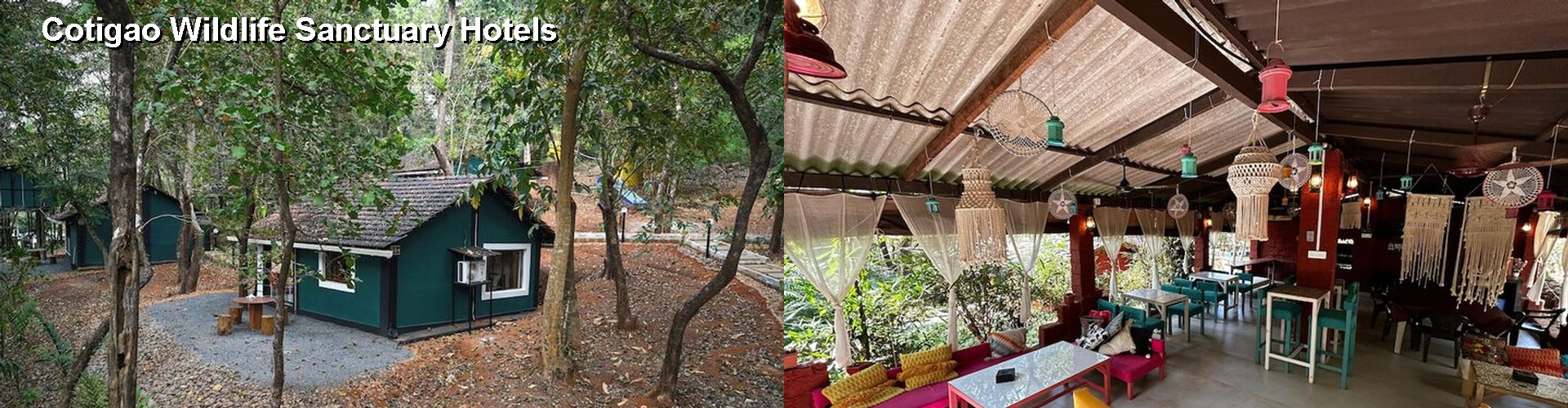 4 Best Hotels near Cotigao Wildlife Sanctuary