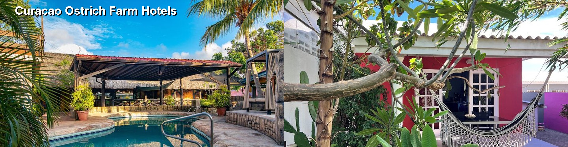 5 Best Hotels near Curacao Ostrich Farm