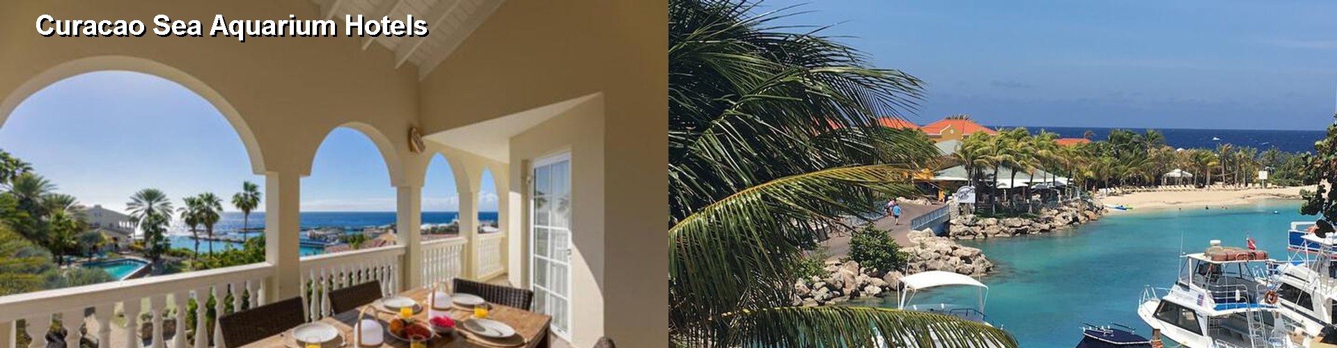 5 Best Hotels near Curacao Sea Aquarium