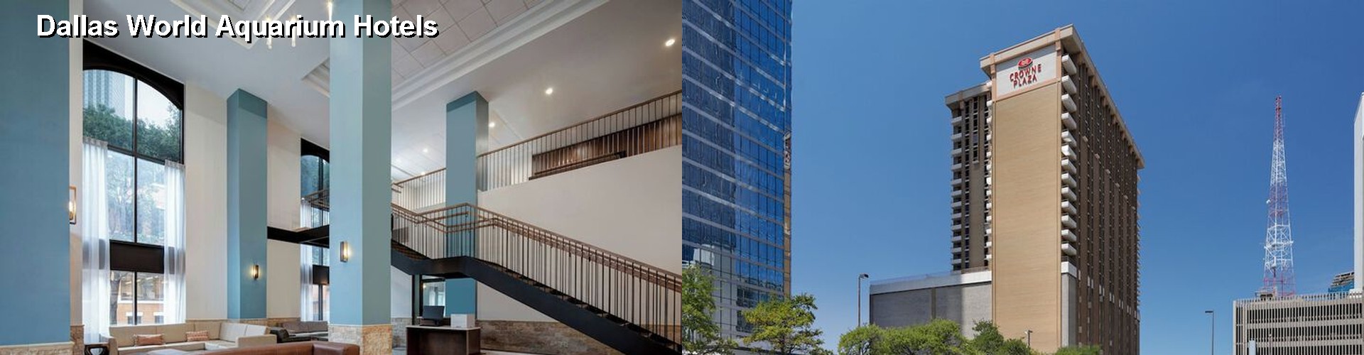 5 Best Hotels near Dallas World Aquarium