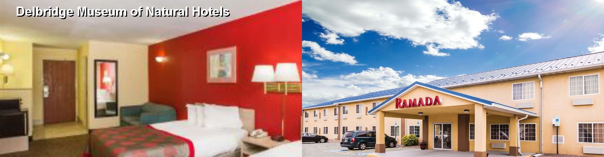 3 Best Hotels near Delbridge Museum of Natural