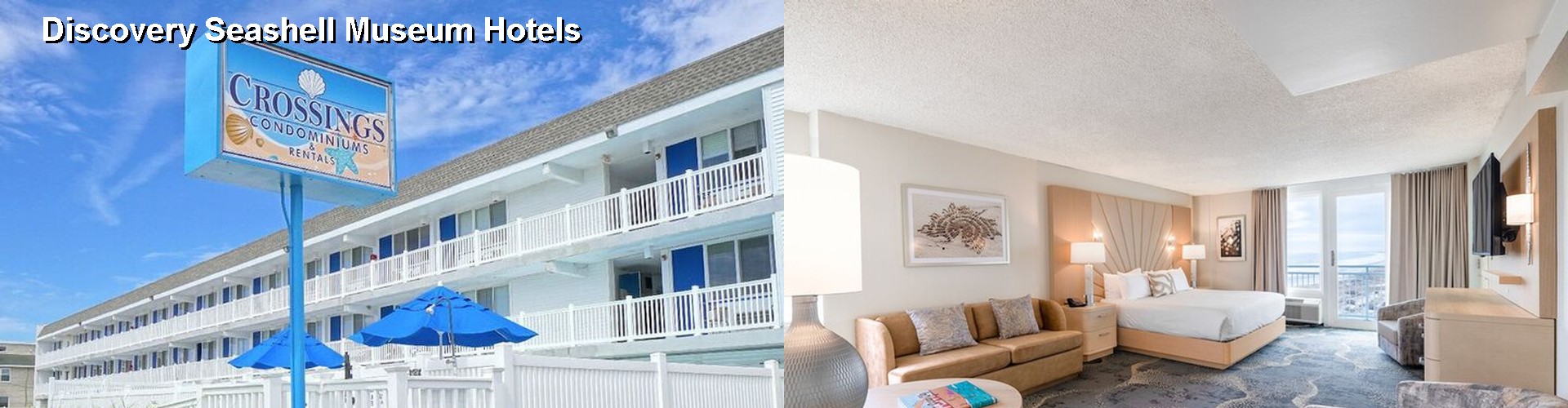 3 Best Hotels near Discovery Seashell Museum