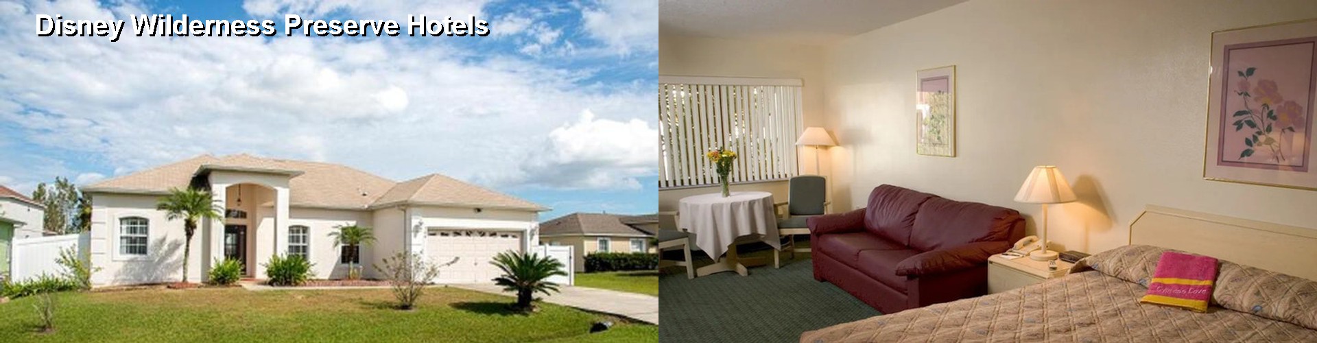 5 Best Hotels near Disney Wilderness Preserve