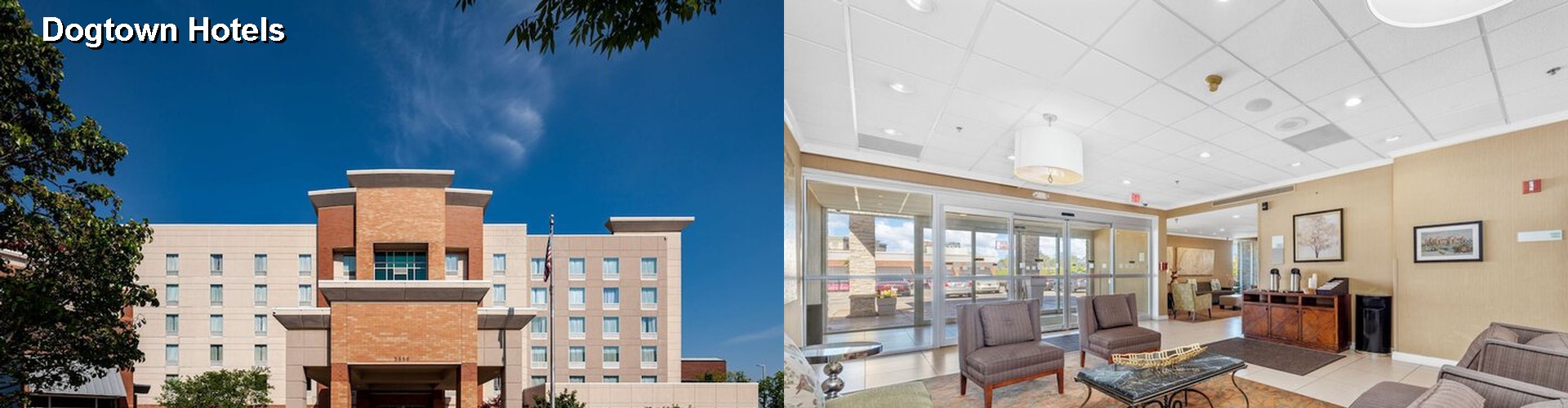 5 Best Hotels near Dogtown