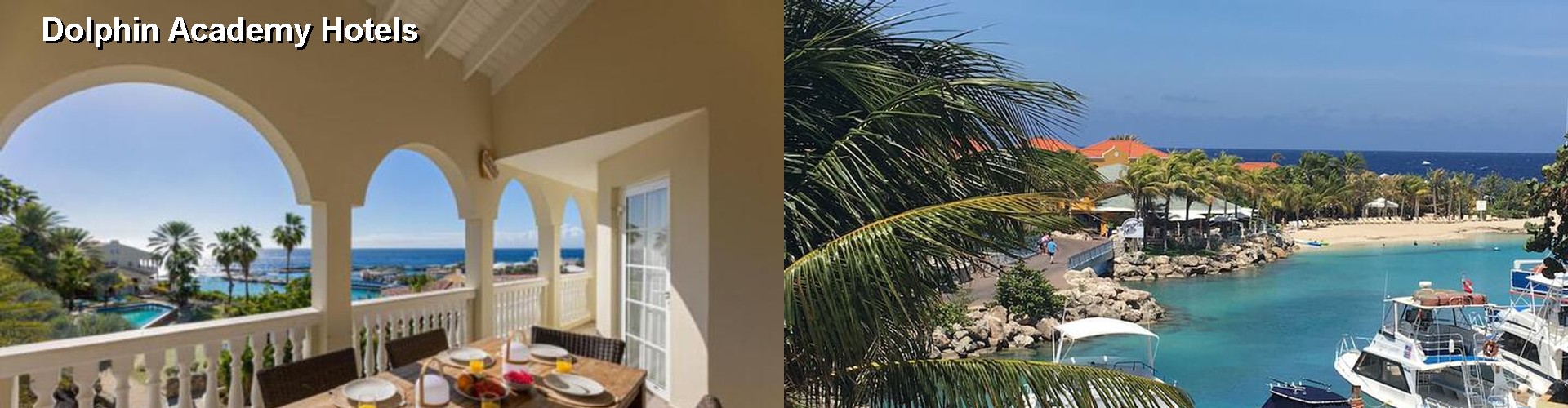 5 Best Hotels near Dolphin Academy