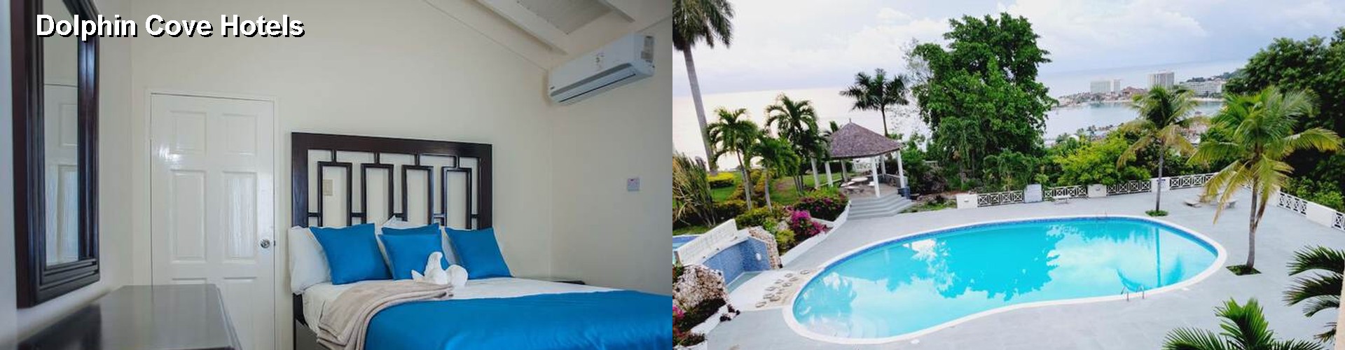 5 Best Hotels near Dolphin Cove