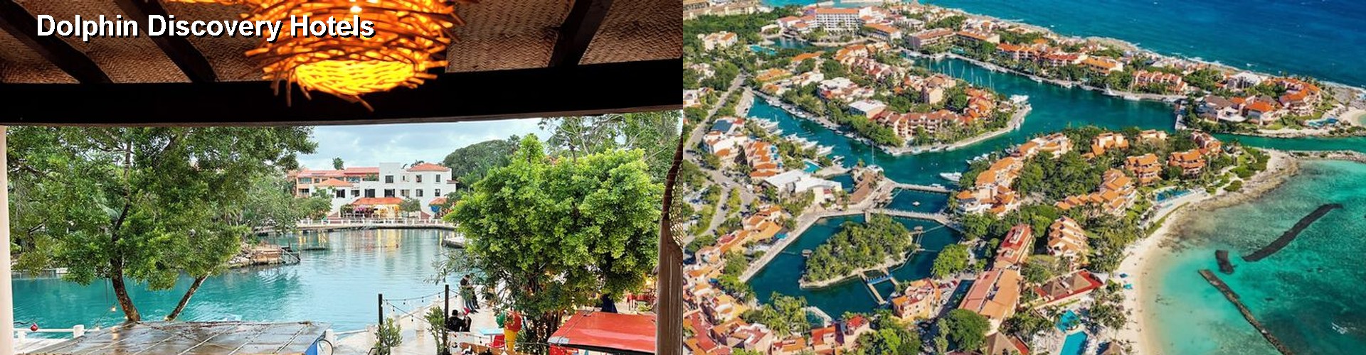 5 Best Hotels near Dolphin Discovery