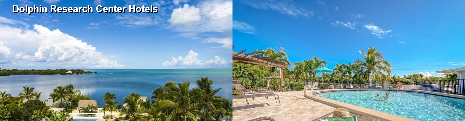 5 Best Hotels near Dolphin Research Center