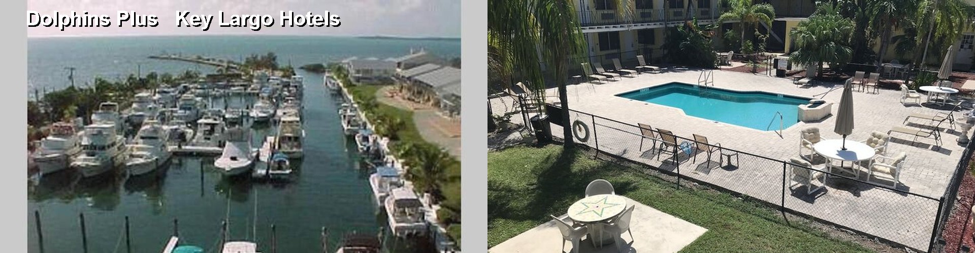 4 Best Hotels near Dolphins Plus Key Largo