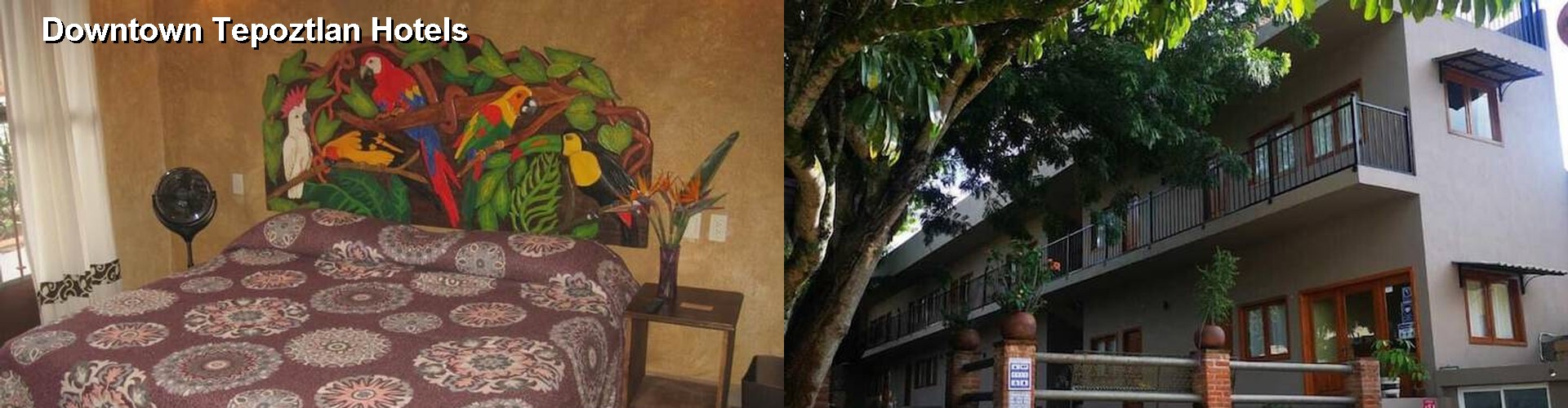5 Best Hotels near Downtown Tepoztlan