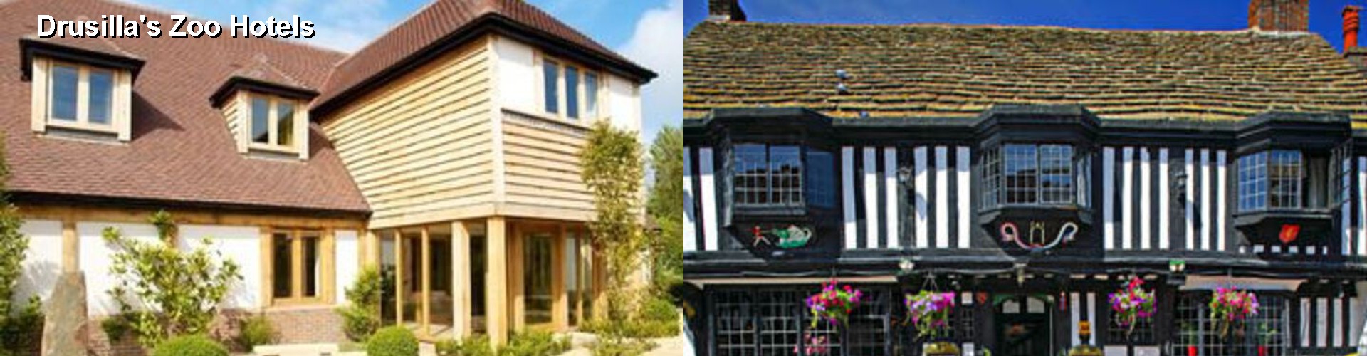 5 Best Hotels near Drusilla's Zoo