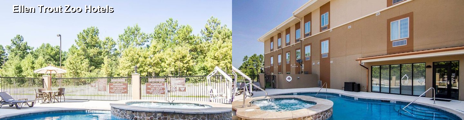 5 Best Hotels near Ellen Trout Zoo