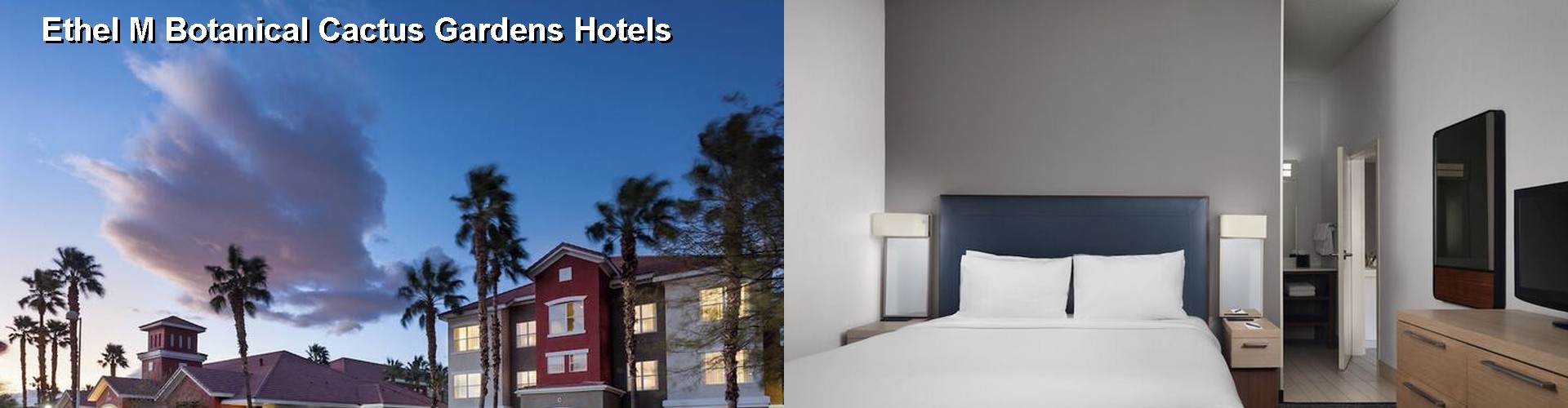 5 Best Hotels near Ethel M Botanical Cactus Gardens