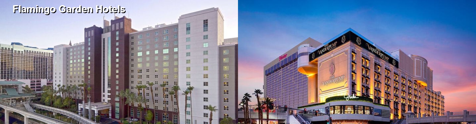 5 Best Hotels near Flamingo Garden