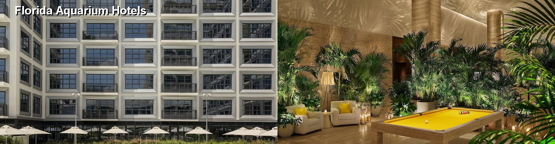 5 Best Hotels near Florida Aquarium