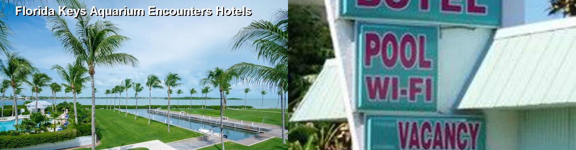 5 Best Hotels near Florida Keys Aquarium Encounters