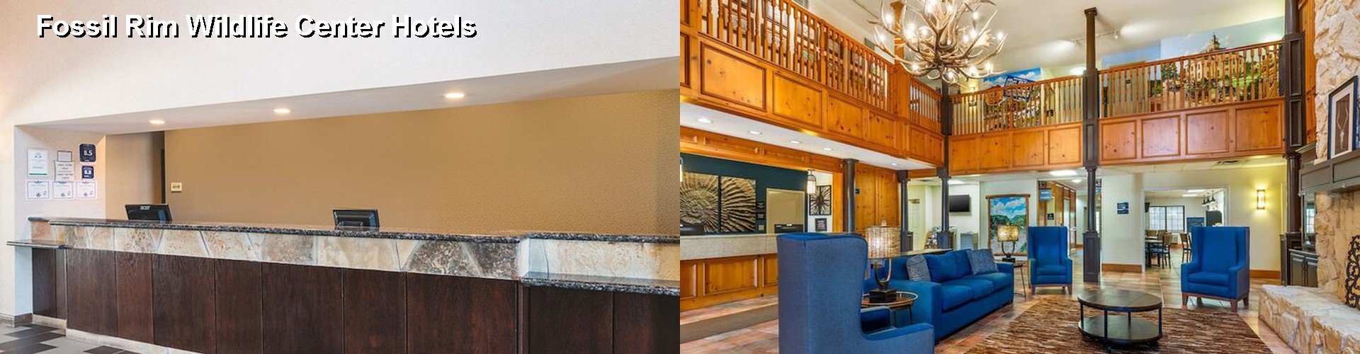 5 Best Hotels near Fossil Rim Wildlife Center