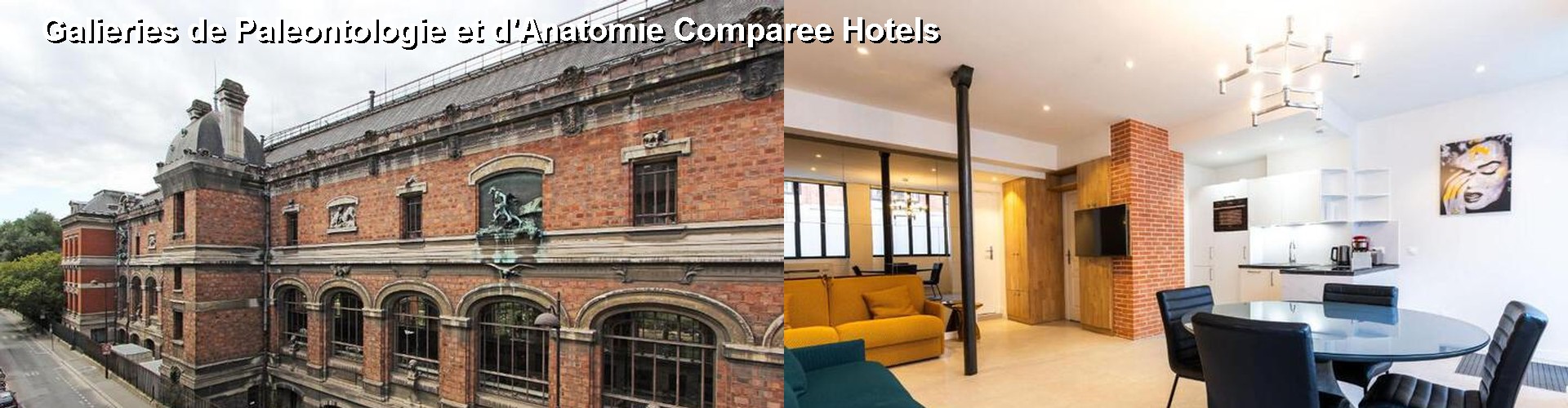 5 Best Hotels near Galieries de Paleontologie et d'Anatomie Comparee