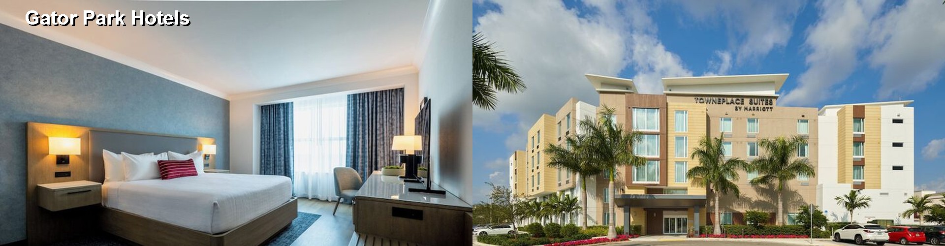 5 Best Hotels near Gator Park