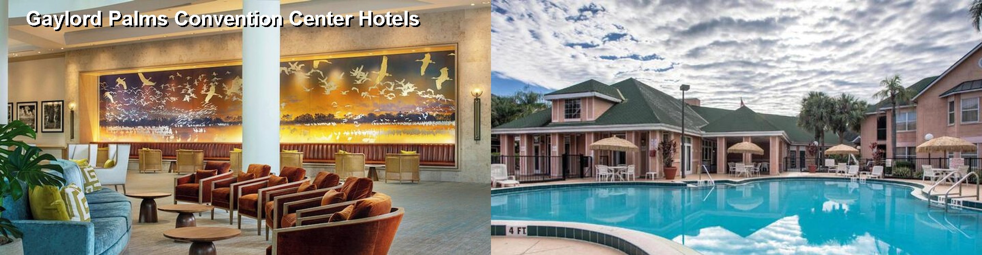 3 Best Hotels near Gaylord Palms Convention Center