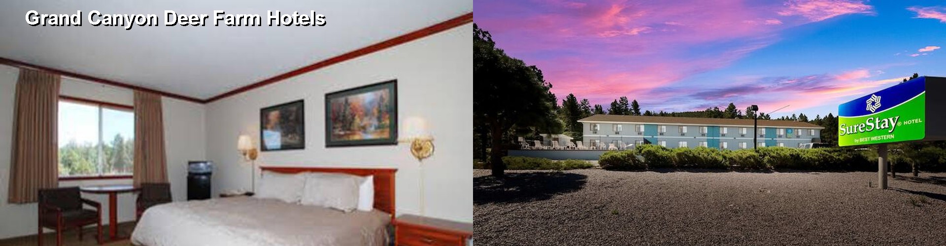 3 Best Hotels near Grand Canyon Deer Farm