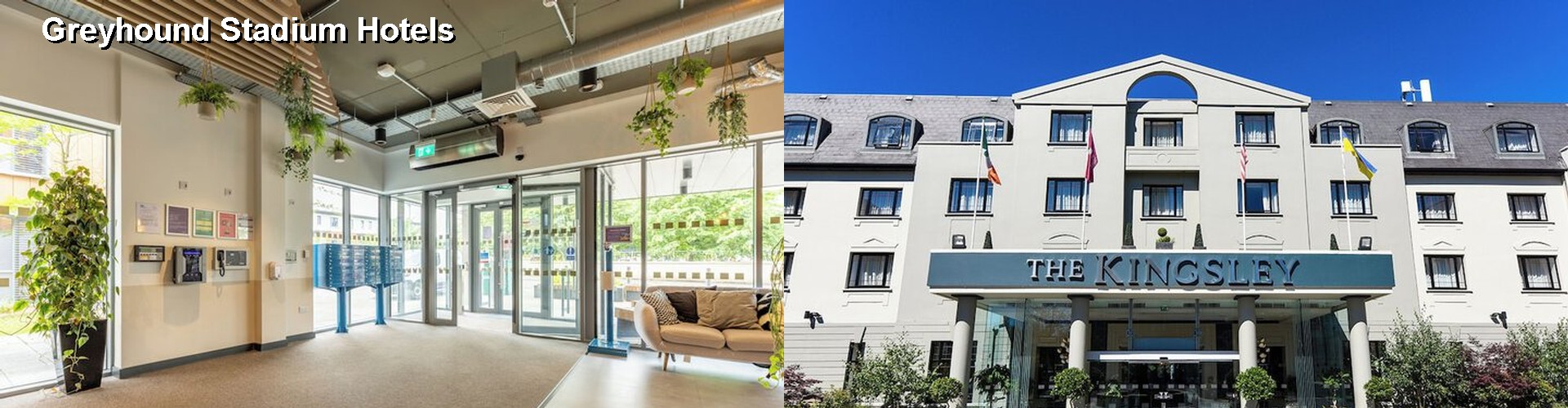 5 Best Hotels near Greyhound Stadium