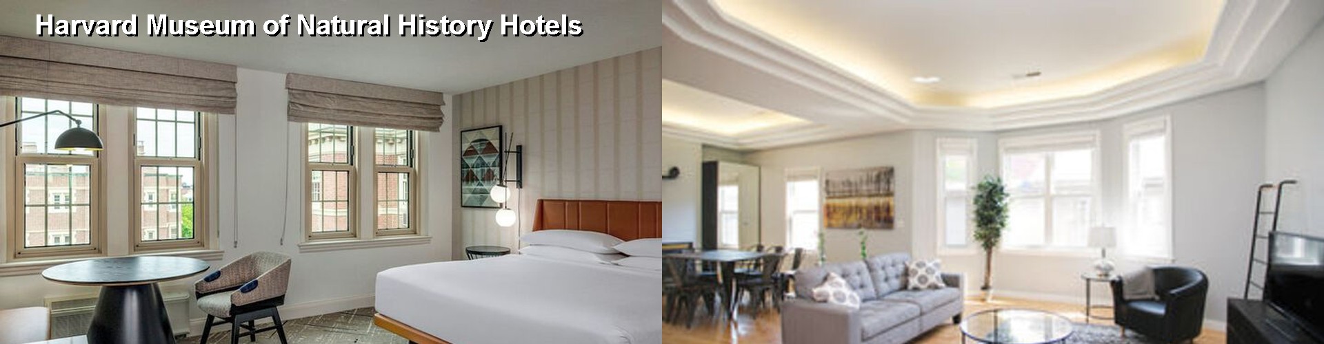 5 Best Hotels near Harvard Museum of Natural History