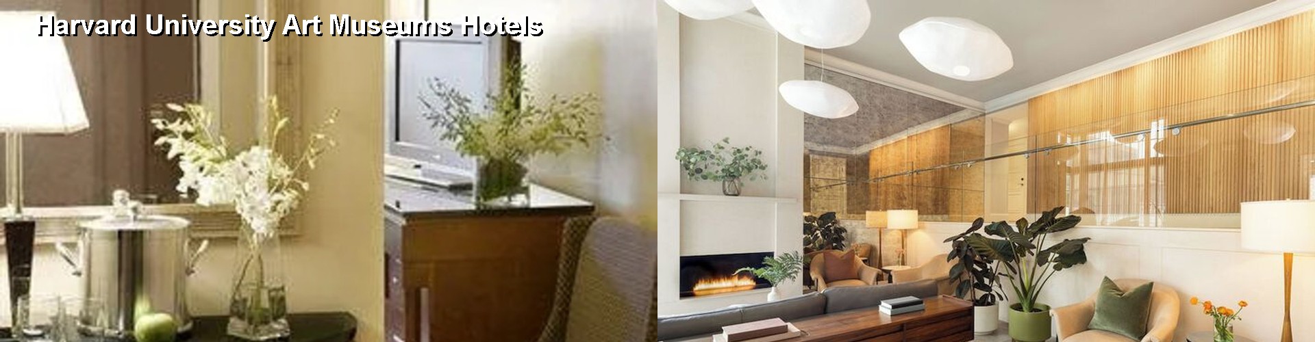 5 Best Hotels near Harvard University Art Museums