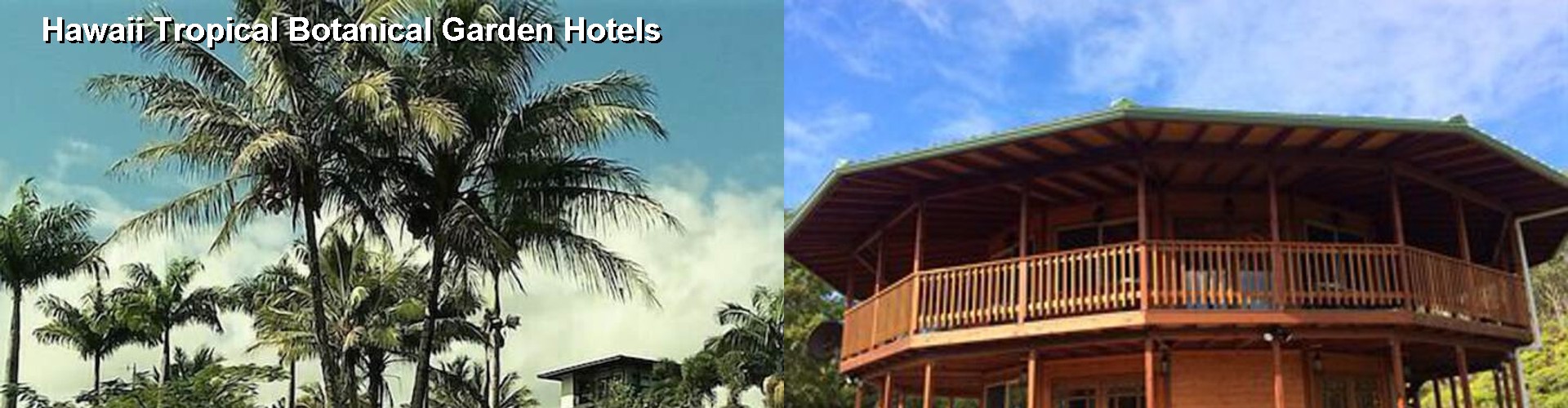 2 Best Hotels near Hawaii Tropical Botanical Garden