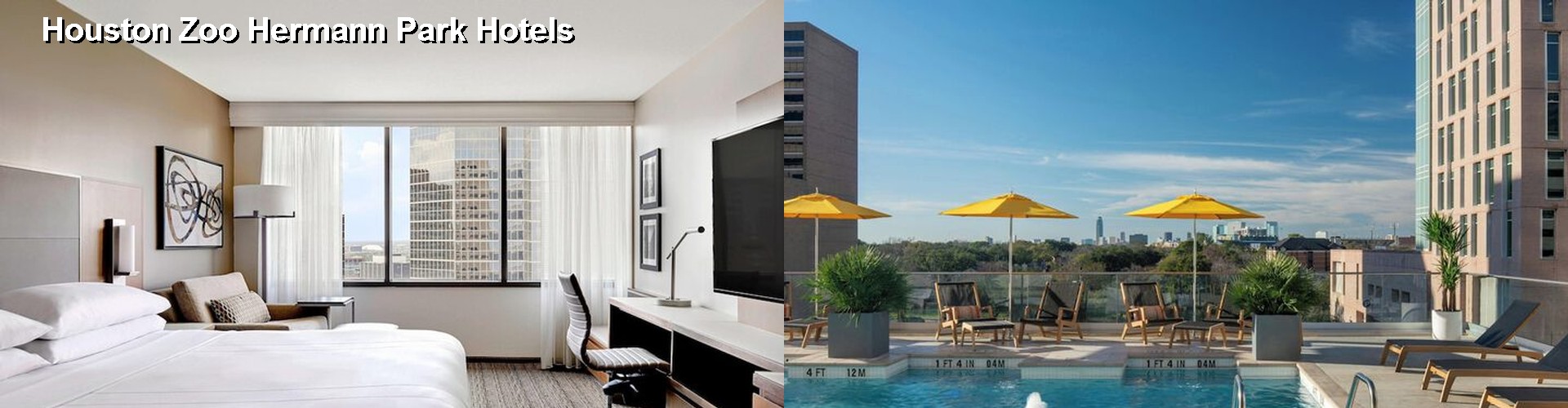 5 Best Hotels near Houston Zoo Hermann Park