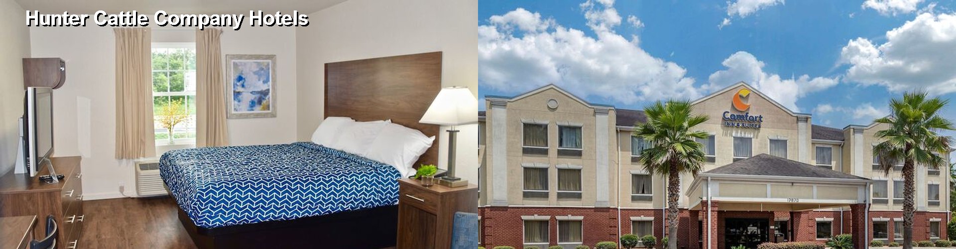 4 Best Hotels near Hunter Cattle Company