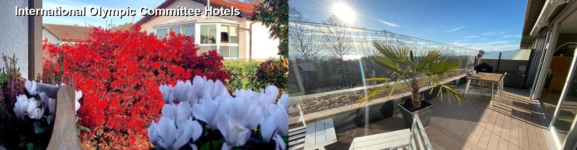 5 Best Hotels near International Olympic Committee