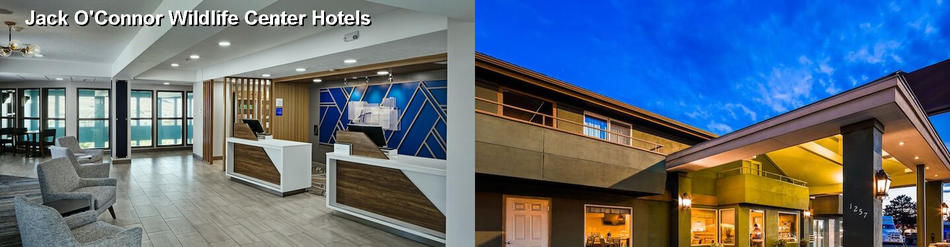 5 Best Hotels near Jack O'Connor Wildlife Center