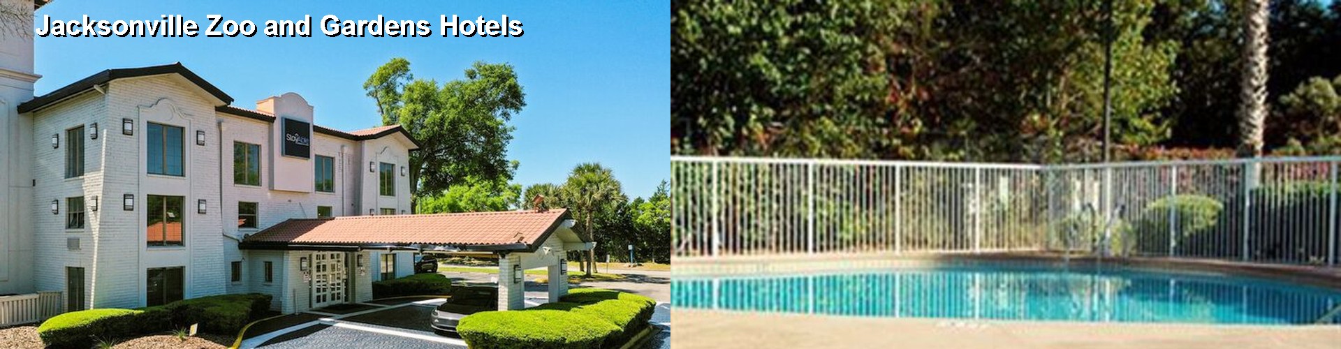 5 Best Hotels near Jacksonville Zoo and Gardens