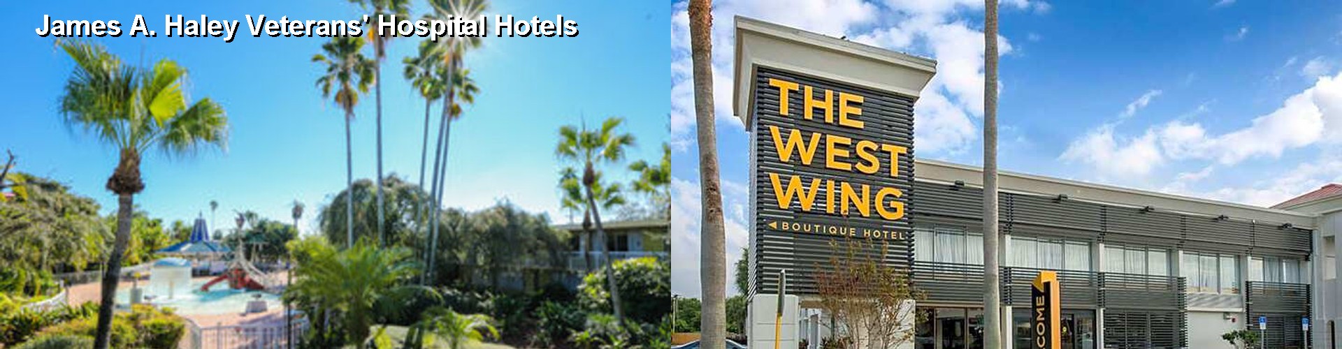 3 Best Hotels near James A. Haley Veterans' Hospital