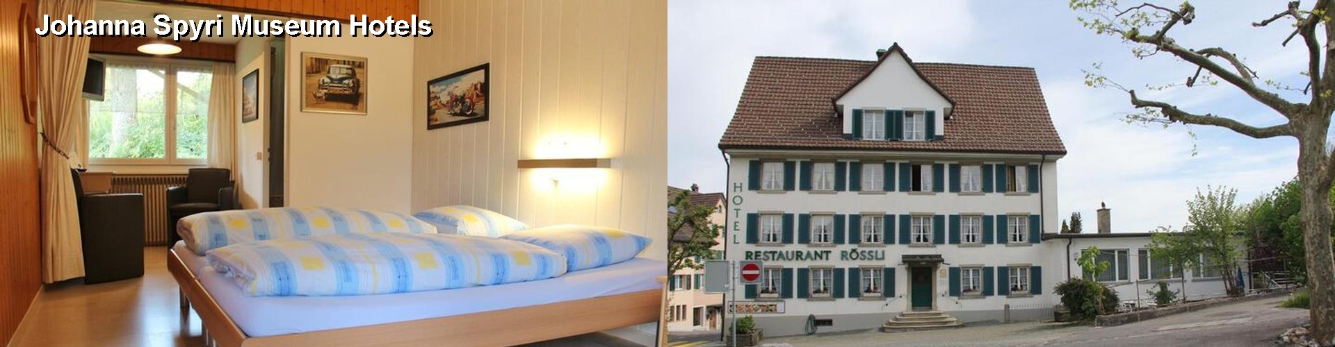 5 Best Hotels near Johanna Spyri Museum