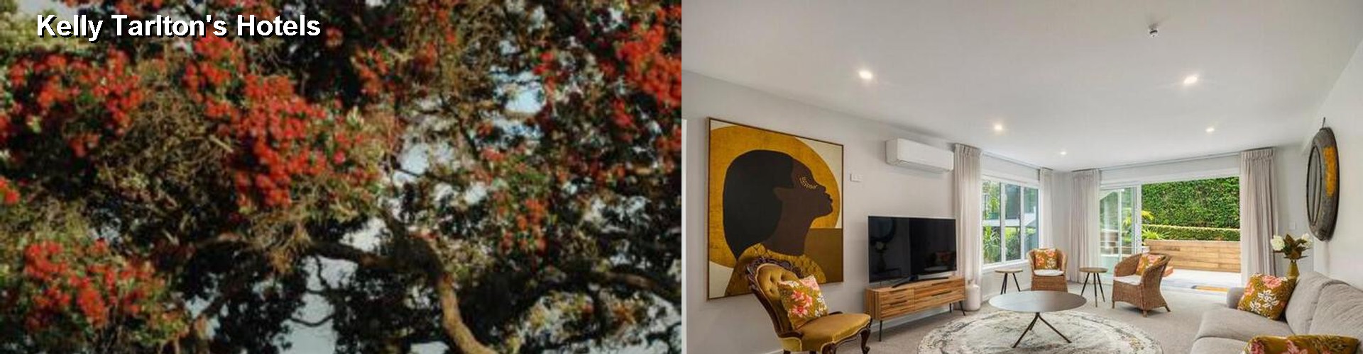5 Best Hotels near Kelly Tarlton's