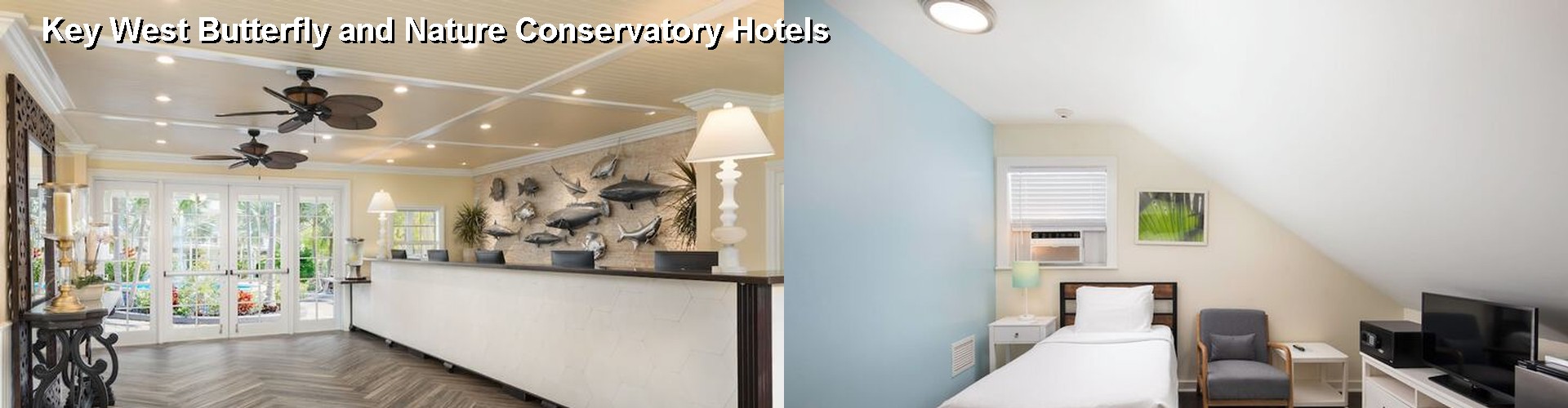 5 Best Hotels near Key West Butterfly and Nature Conservatory