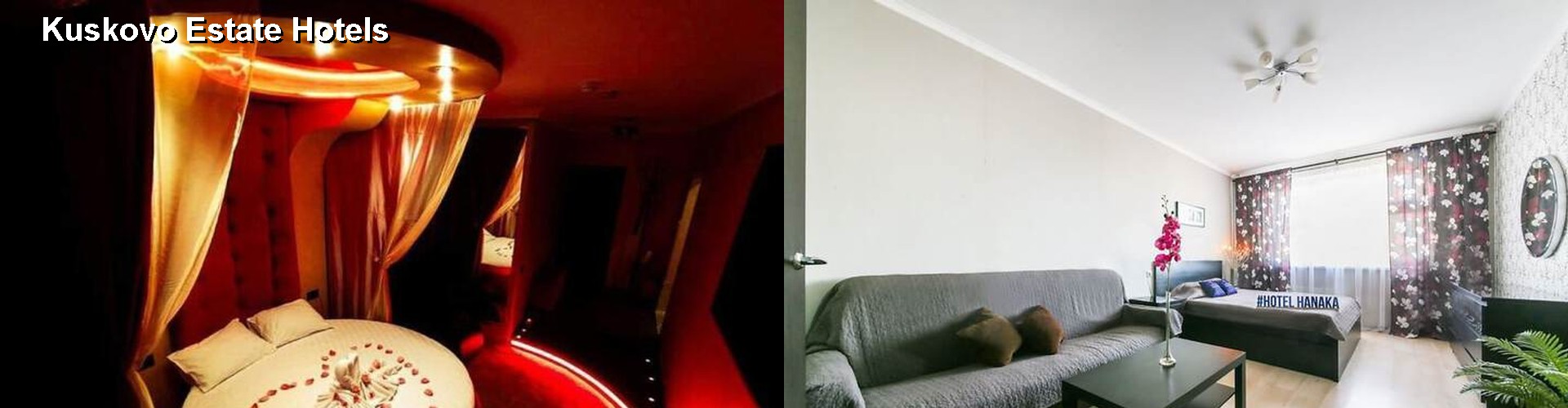 2 Best Hotels near Kuskovo Estate
