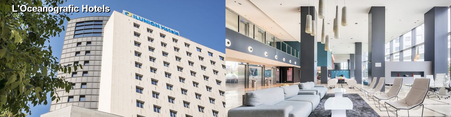 5 Best Hotels near L'Oceanografic